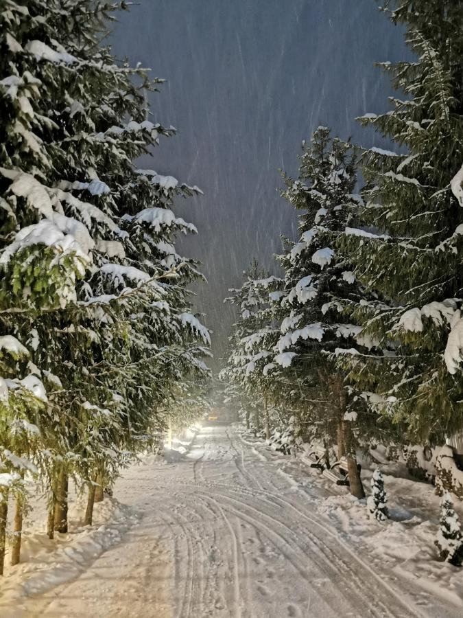 Popasul Lu' Voda Borşa Exterior foto